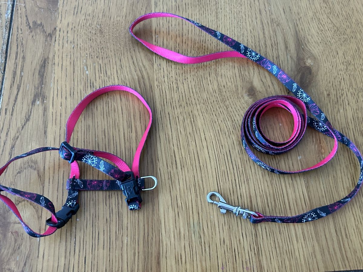 Guinzagli & Collari: Pinkes Katzengeschirr mit passender Leine – Usato da Oberkulm venduto da angela_05 1