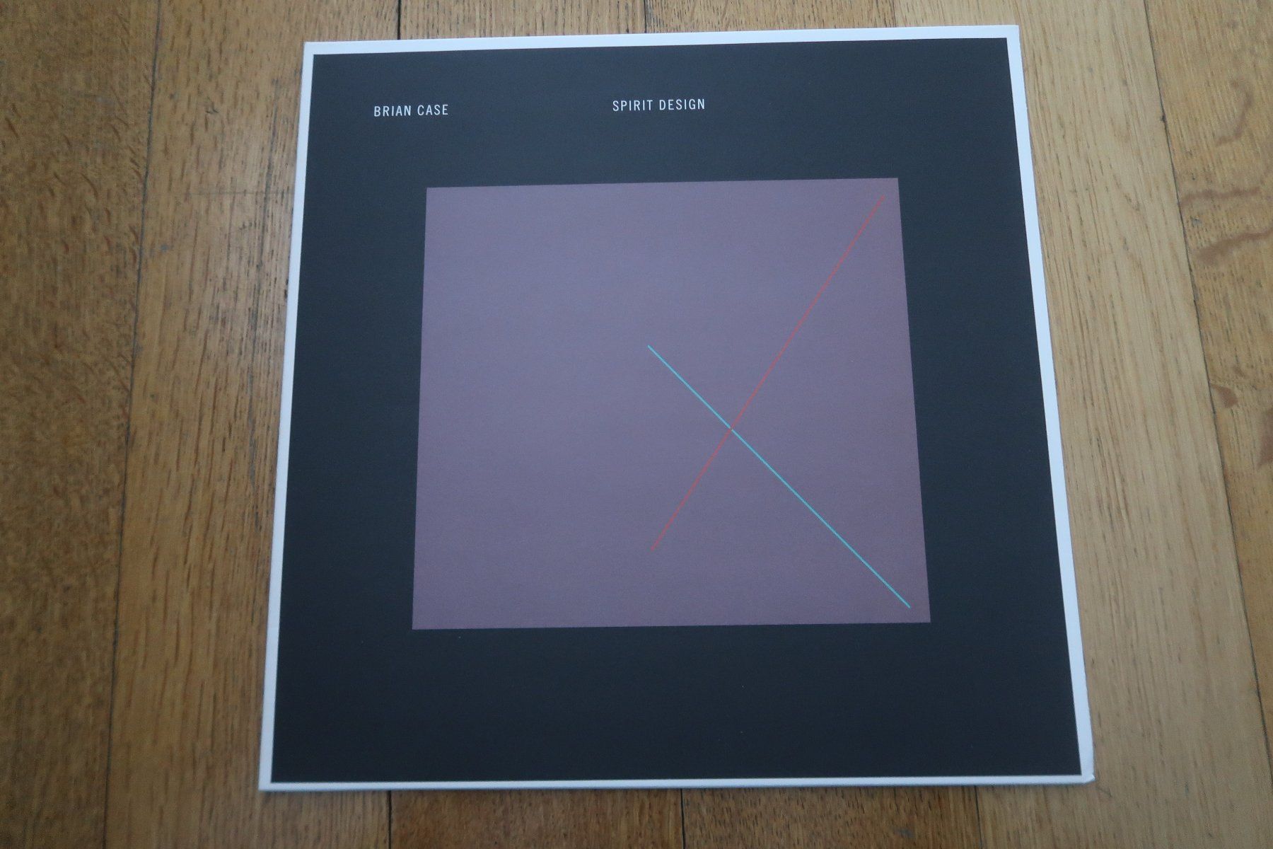 Dischi in vinile: BRIAN CASE - SPIRIT DESIGN - VINYL LP – Usato da Basel venduto da Patiscat