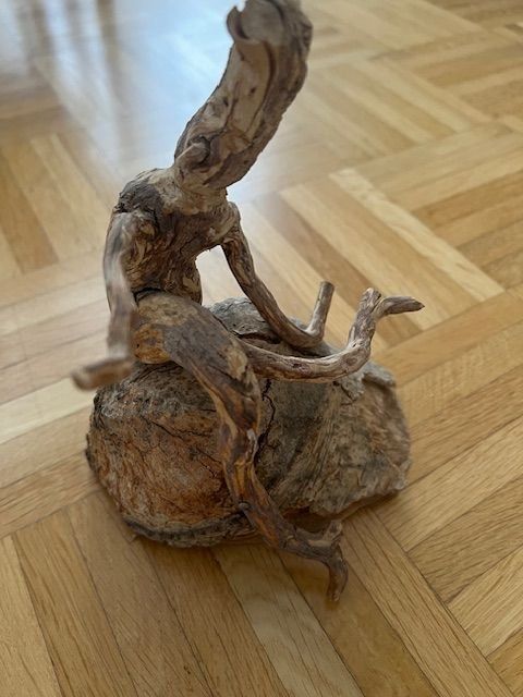Articoli in legno: Holzwurzel - Figur – Nuovo (secondo la descrizione) da Walenstadt venduto da ricamul 8