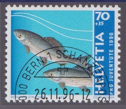 Alle Briefmarken: PJ1996 1er j - obli demi-lune – Gebraucht aus Bulle von Claude1630 2