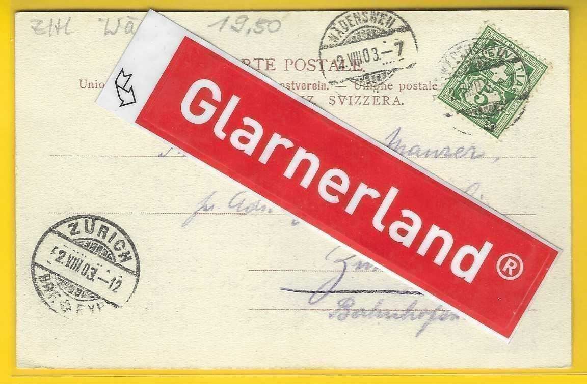 Cartoline postali: 2.8.1903 selten Nahbild der GemeindeWädenswil Eidmattstrasse – Usato da Zürich venduto da Hagliweg 1