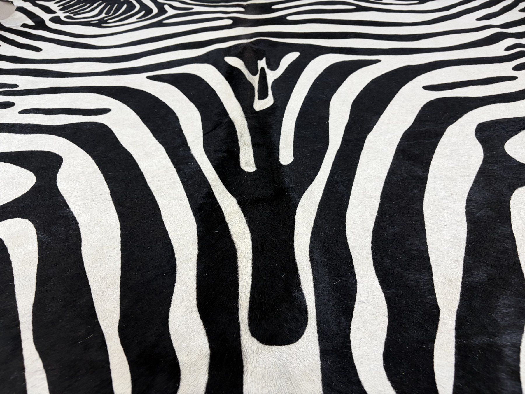 Tappeti: echtes Kuhfell Teppich Zebra – Nuovo e nell'imballaggio originale da Arbedo venduto da patagonialeatherrugs 4