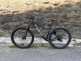 Trek Roscoe 8 (2024)