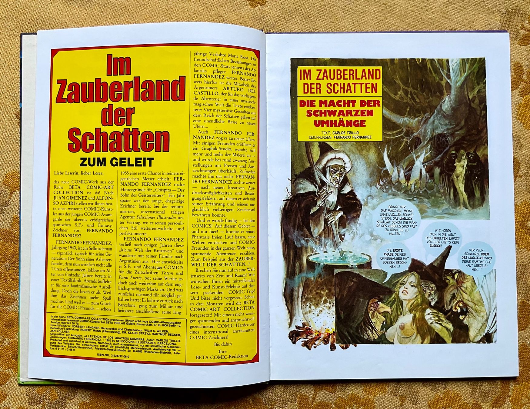 Comics: Comic - Album von 1987 ? – Gebraucht aus Endingen von nathan05 4