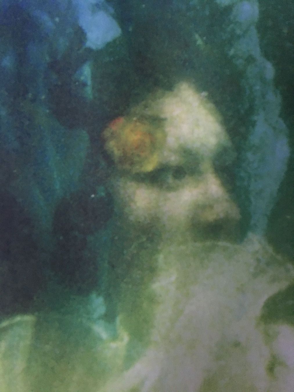 Foto & Immagini: Stoffbild Wassernixen Perlen Rosen See – Nuovo (secondo la descrizione) da Kreuzlingen venduto da Muschel64 1