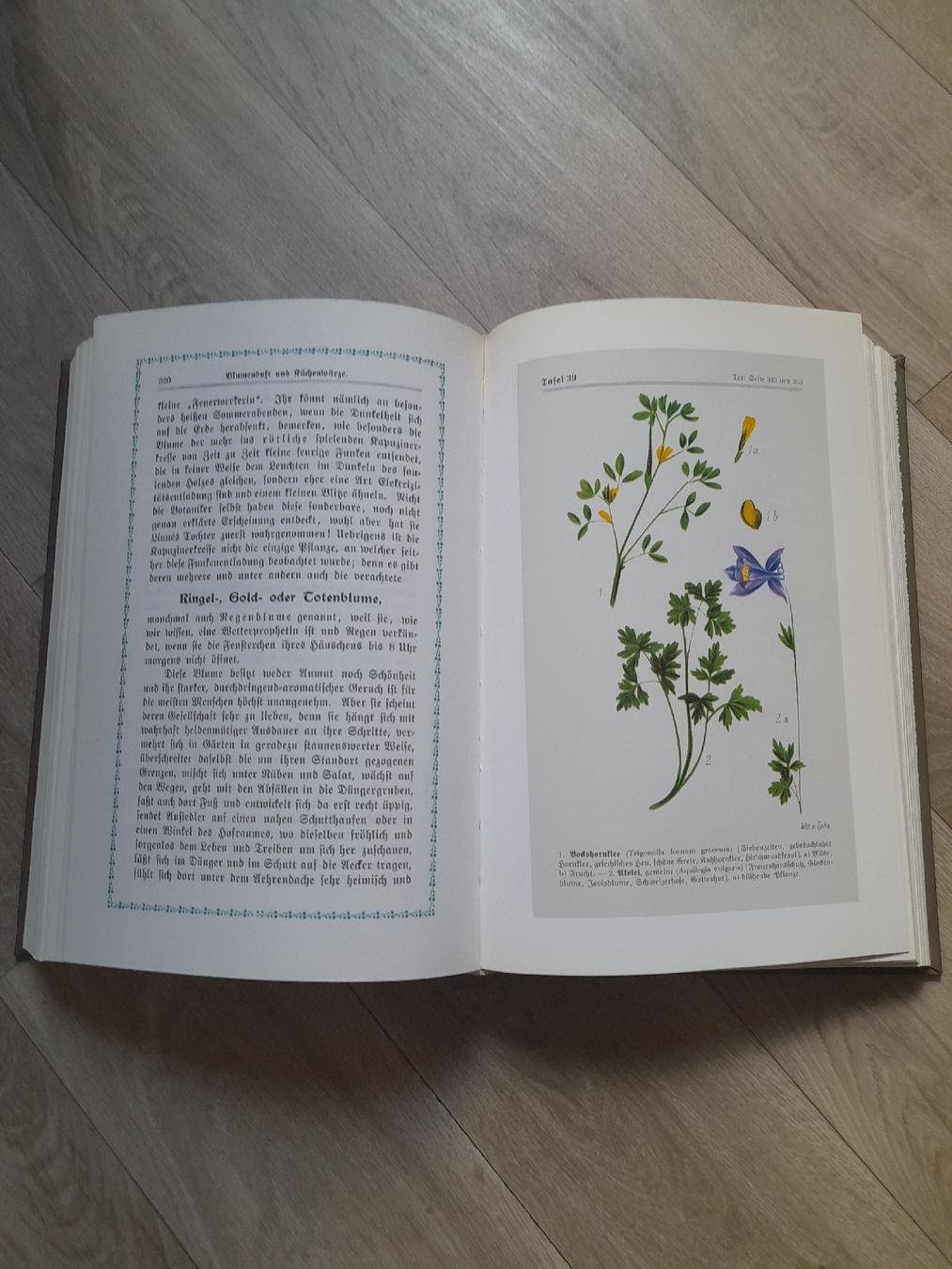 Bücher: Kräutersegen 1896 – Gebraucht aus Basel von Basel_20 6