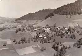 Wald ZH Hirschwil Flugaufnahme Nr.3434  , 1959