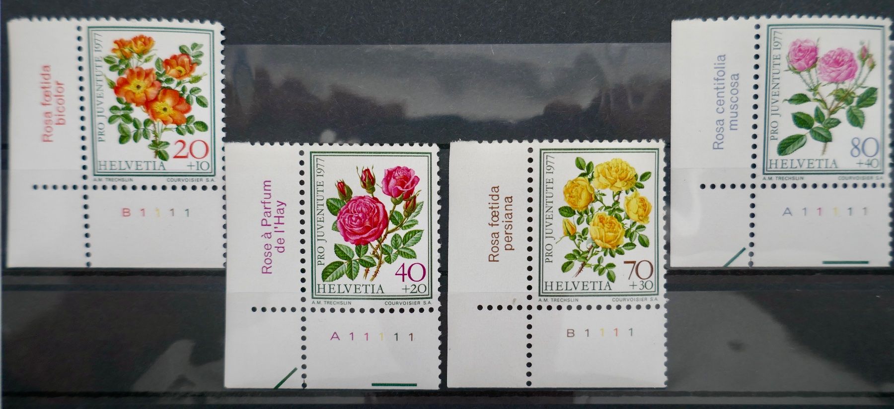 Alle Briefmarken: PJ 1977 Satzmarken Bogenecke mit Tabs postfrisch** – Neu (gemäss Beschreibung) aus Möhlin von PHILABARTIS