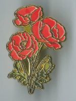 Mohnblumen, Pin