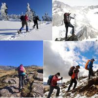Walking Wanderstöcke Trekkingstöcke Verstellbar 110-130cm
