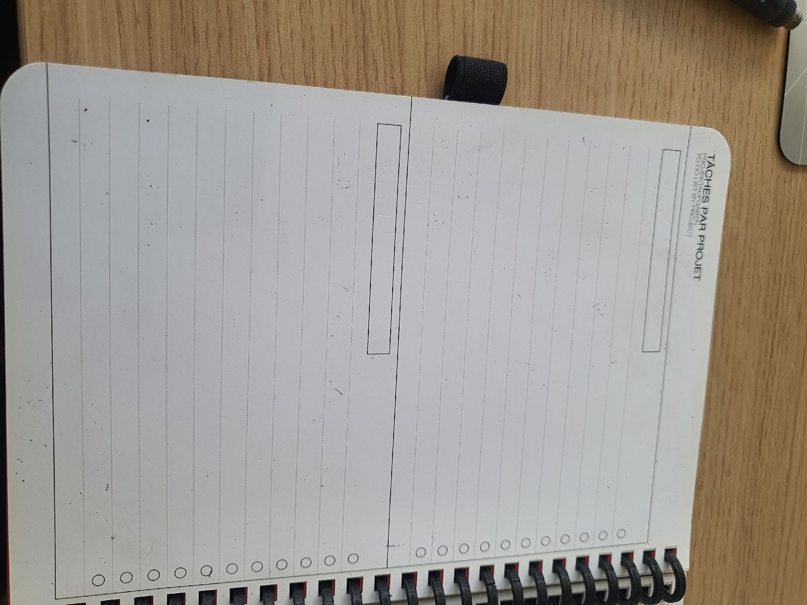 Blocchi: Perpetual Planner – Usato da Muri AG venduto da Jeromia 1