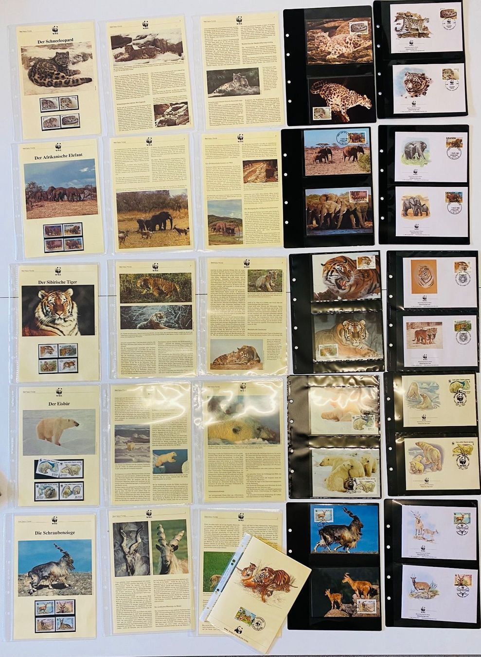 Tutti i francobolli: Sammlung 50 Seiten Tiger Leopard Elefant Eisbär Ziege – Nuovo (secondo la descrizione) da Müswangen venduto da buyin 1
