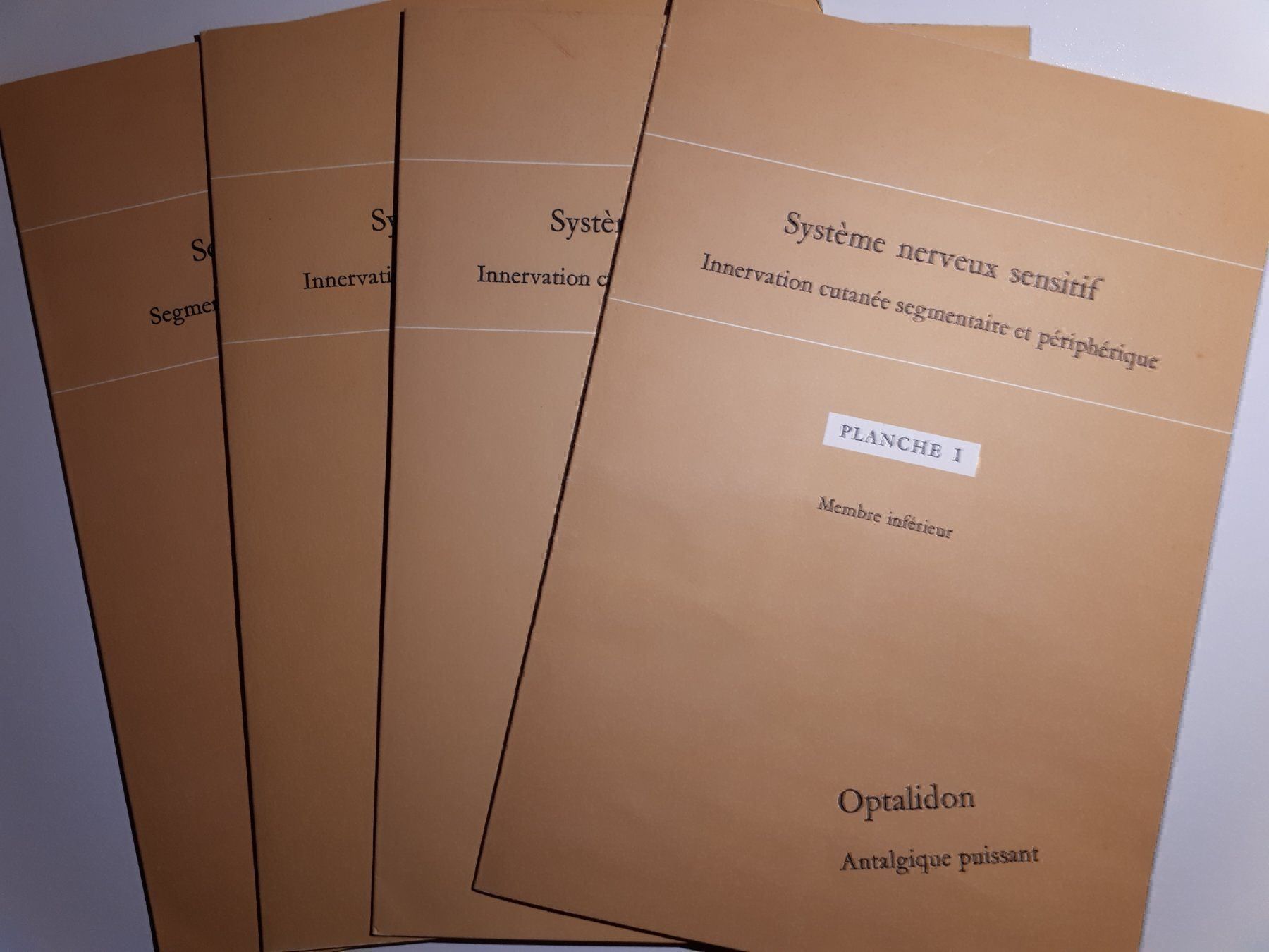 Bücher: Système nerveux I bis IV – Gebraucht aus Dietikon von Buchantiqdietikon