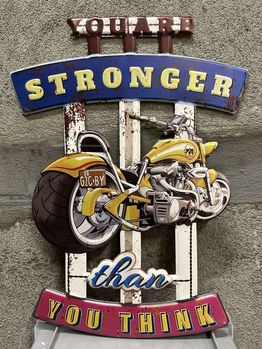 Ecriteaux: Stronger custom motorrad – Neuf (Voir description) à Reinach AG par rares75