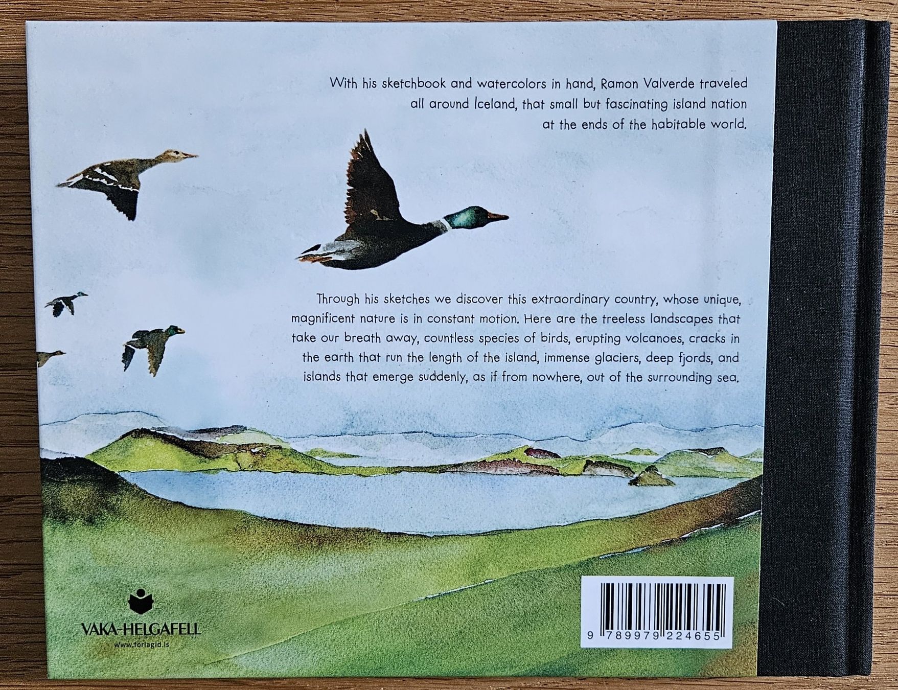 Libri: Ramon Valverde: Travels in Iceland – Usato da Schaffhausen venduto da asyouwestley 1