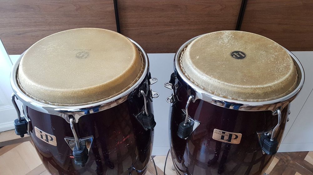 Lp m store cohen congas