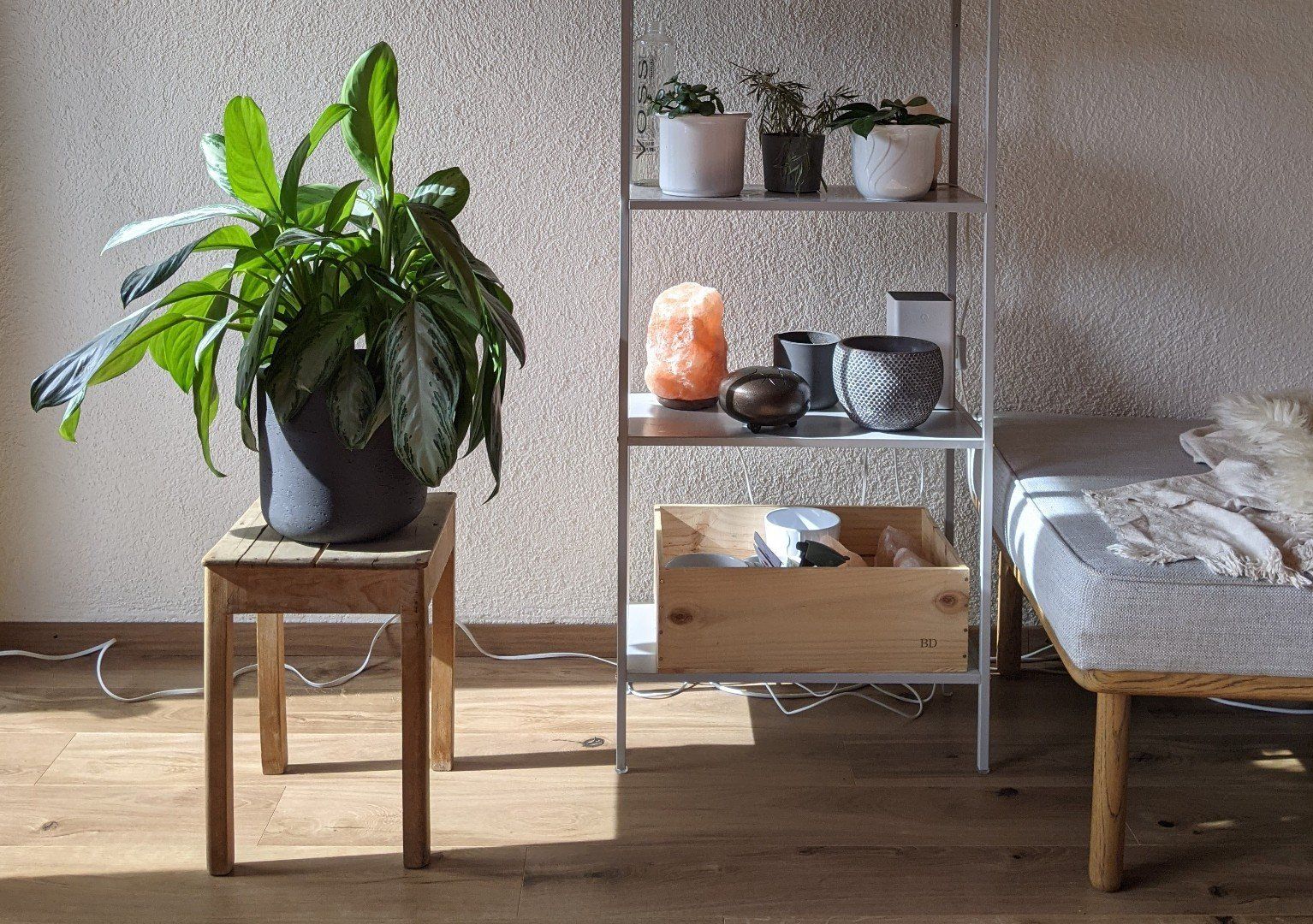 Divani: Tagesliege - Sofa & Gästebett – Usato da Luzern venduto da EliaGabriel 6