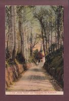 TELLSKAPELLE bei Küssnacht - Hohle Gasse - 1905