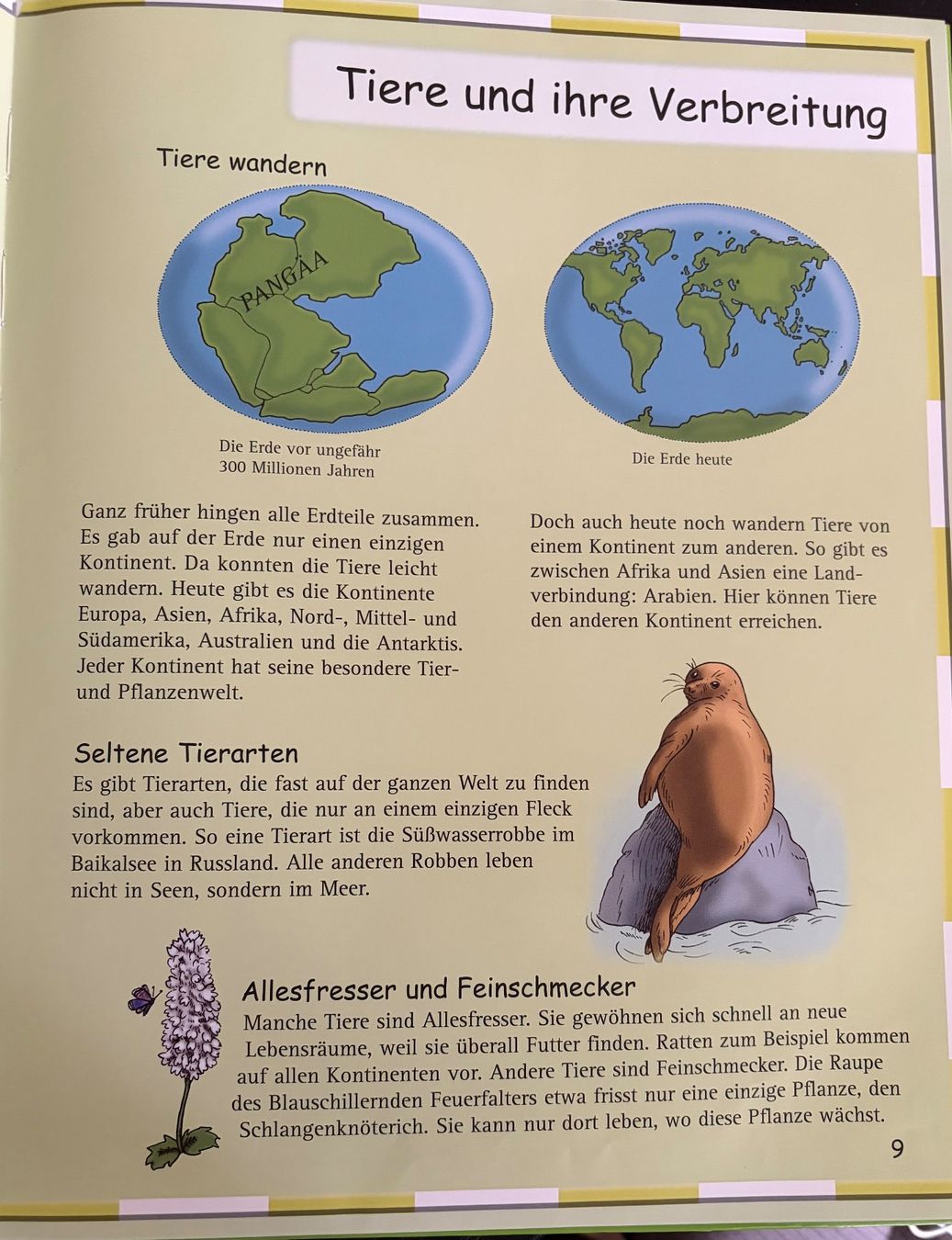 Libri: Kinderatlas ,,Tiere“ – Usato da Adliswil venduto da Myxin 1