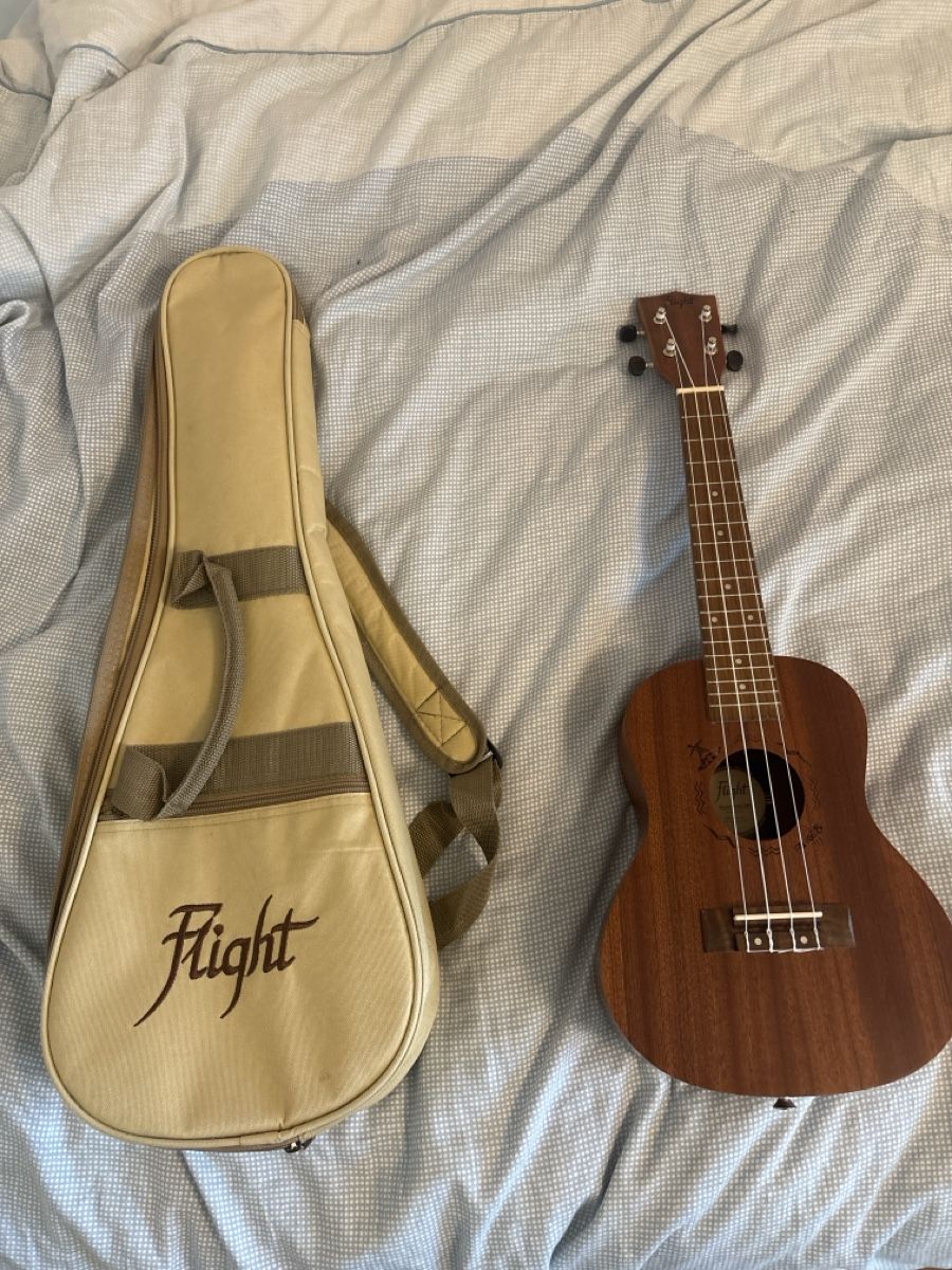 Strumenti musicali: Flight Ukulele NUC310 – Nuovo (secondo la descrizione) da Allschwil venduto da Shayan.R