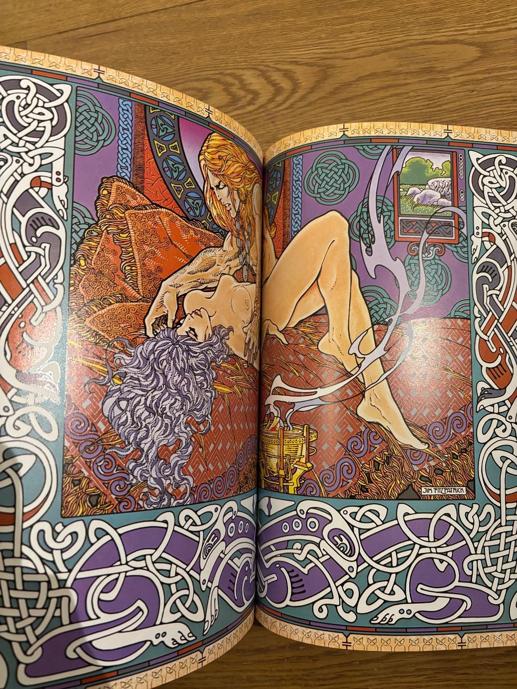 Libri: Jim Fitzpatrick - Buch der Eroberungen Wikinger Vikings – Usato da Egg b. Zürich venduto da superman1975 5