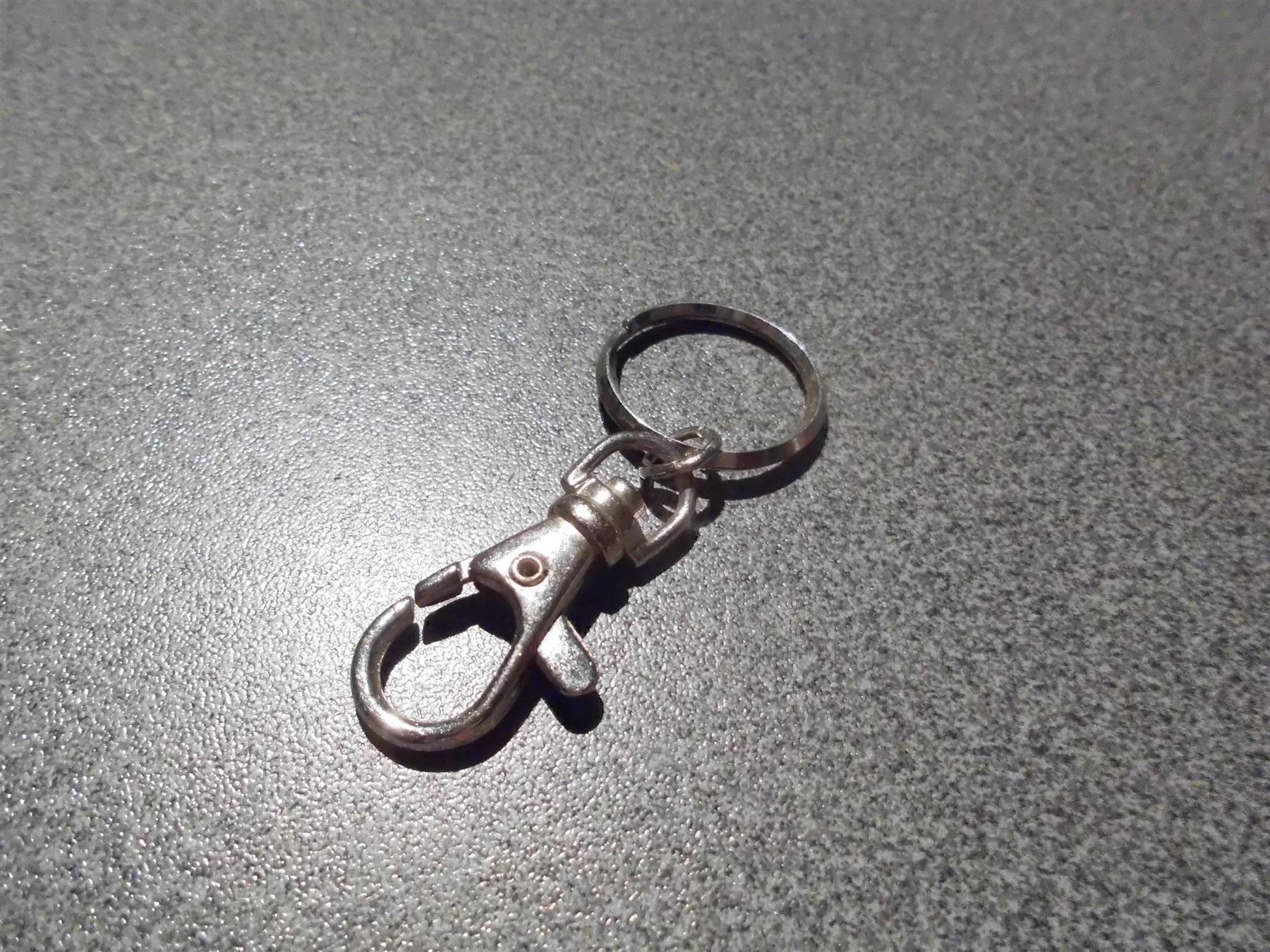 Attrezzatura da arrampicata: Karabiner mit Ring – Usato da Zürich venduto da Motzkuh