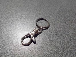 Karabiner mit Ring