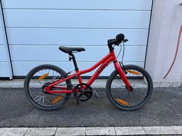 Kindervelo 20 Zoll - Flizzi von Veloplus (Riemenantrieb)