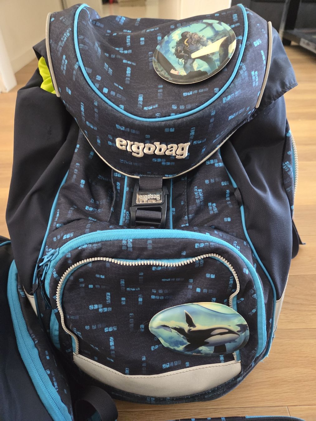 Ergobag Sacs & sacs à dos: Ergobag Schulthek – D'occasion à Wilen b. Wollerau par desi1327 1
