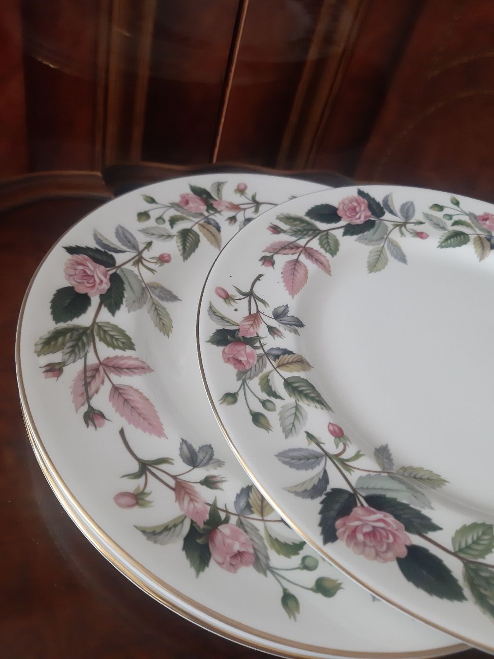Wedgwood Piatti: Teller WEDGWOOD – Nuovo (secondo la descrizione) da Schattdorf venduto da epp_db95 2