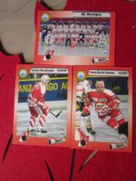 HC MARTIGNY EISHOCKEY SAMMELKARTEN SAISON 1993/94 ANTIK