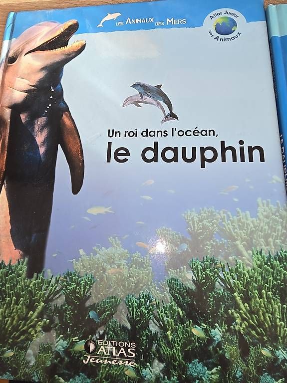 Tutti i DVDs: Livres et DVD dauphin – Usato da Chavannes-Renens venduto da Coco200 3