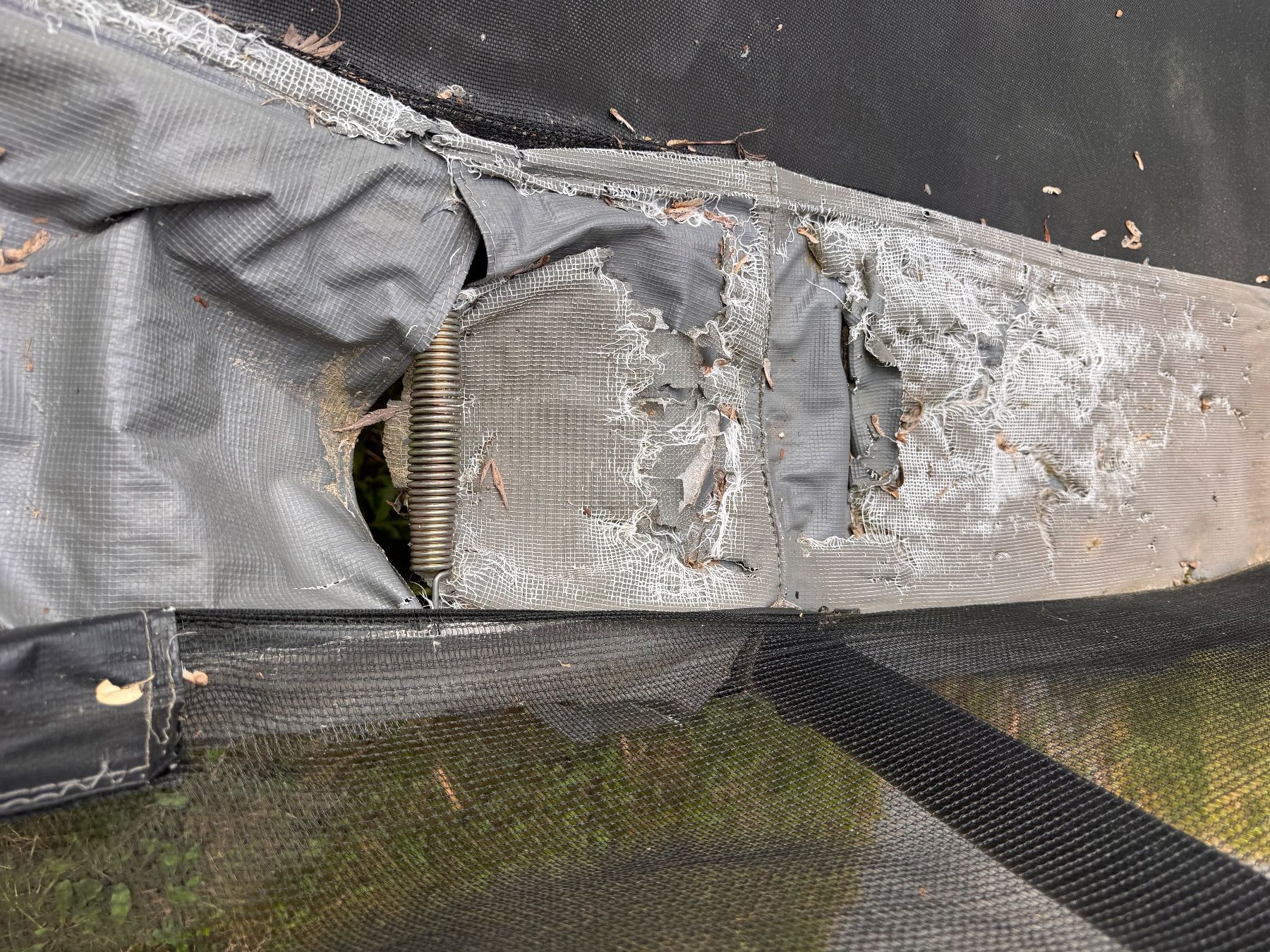 Trampolini: Trampolin Gross Marke EXIT – Usato da Adligenswil venduto da eerasta 5