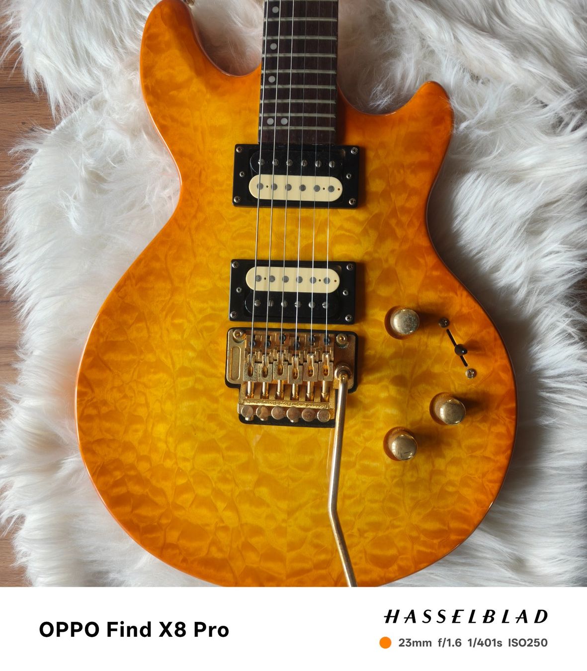 Strumenti musicali: Zerberus Q-Deluxe Jg. 2003 – Usato da Seuzach venduto da Markleeroy