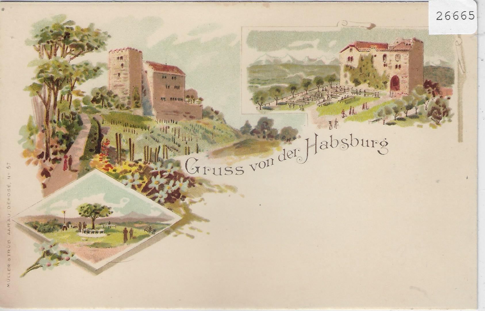 Cartoline postali: Gruss von der Habsburg - Litho – Usato da Ettingen venduto da Kartenplanet