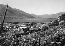 Tenero (TI) Lago Maggiore Camping Panorama G