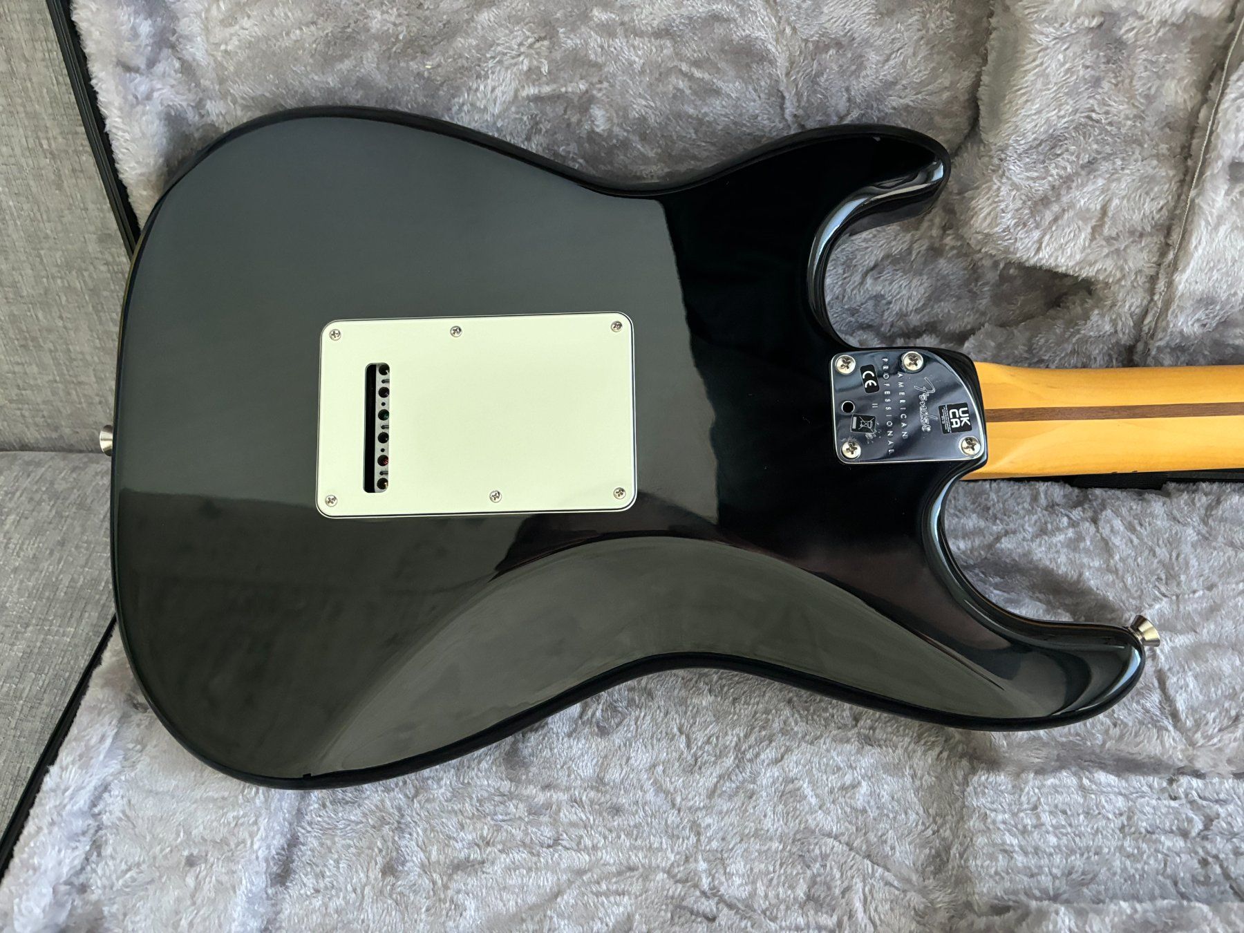 Fender Strumenti musicali: Fender Stratocaster American Professional II – Nuovo (secondo la descrizione) da Zürich venduto da ste_nqh7 2