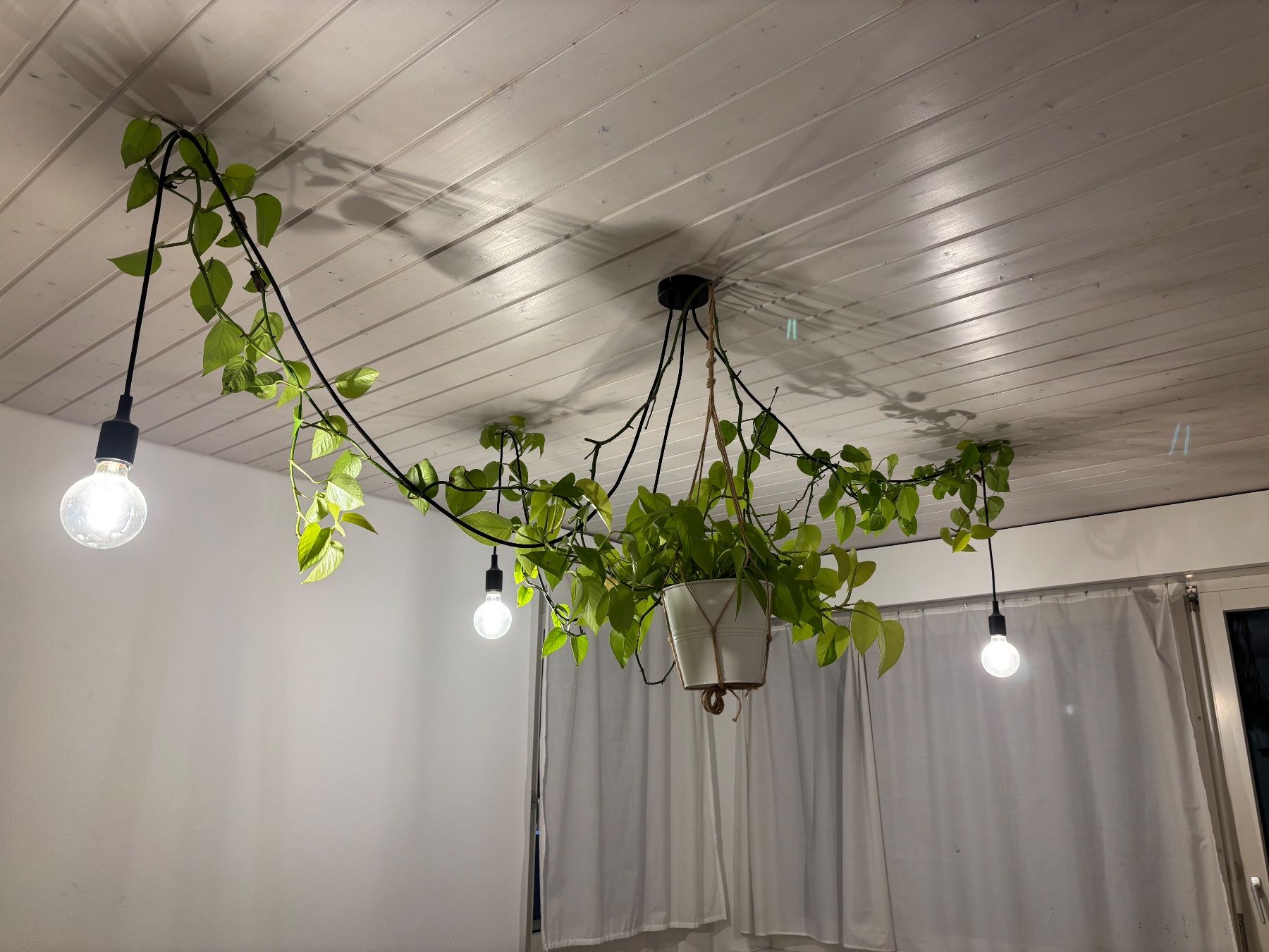 Lampadari & plafoniere: Deckenlampe mit Pflanze – Nuovo (secondo la descrizione) da Luzern venduto da Sina.Olivia