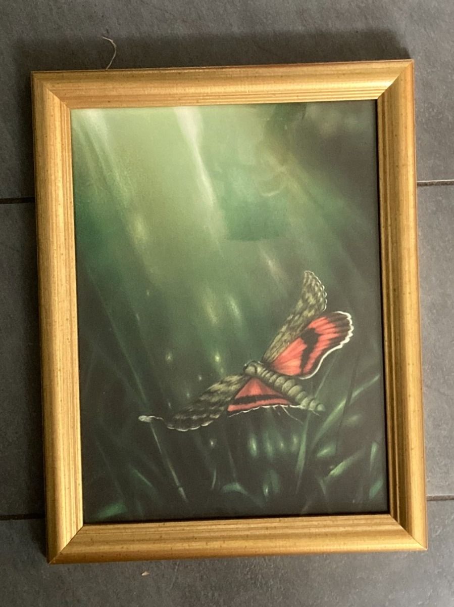 Foto & Immagini: FRIEDRICH  HECHELMANN  Kunstdruck von Gemälde  Schmetterling – Usato da Subingen venduto da ArtBead 4