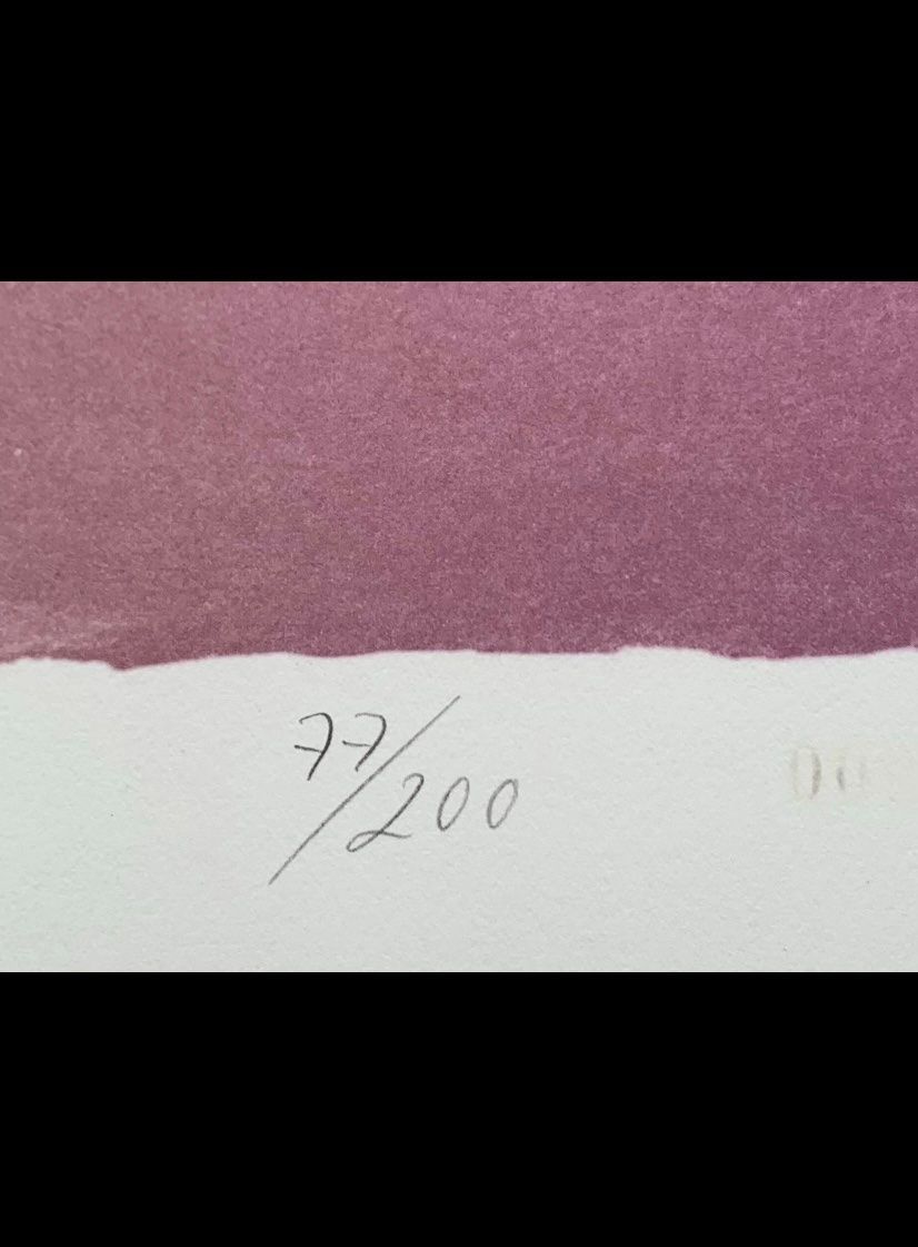 Grafica & Litografie: Franz Eggenschwiler Serigraphie handsigniert – Usato da Olten venduto da sportwelt 6