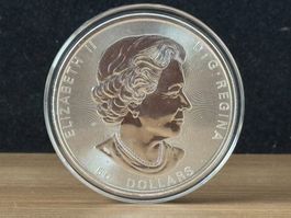 10 Unzen Silbermünze 50 Dollar Magnificent Maple Leaf 2020