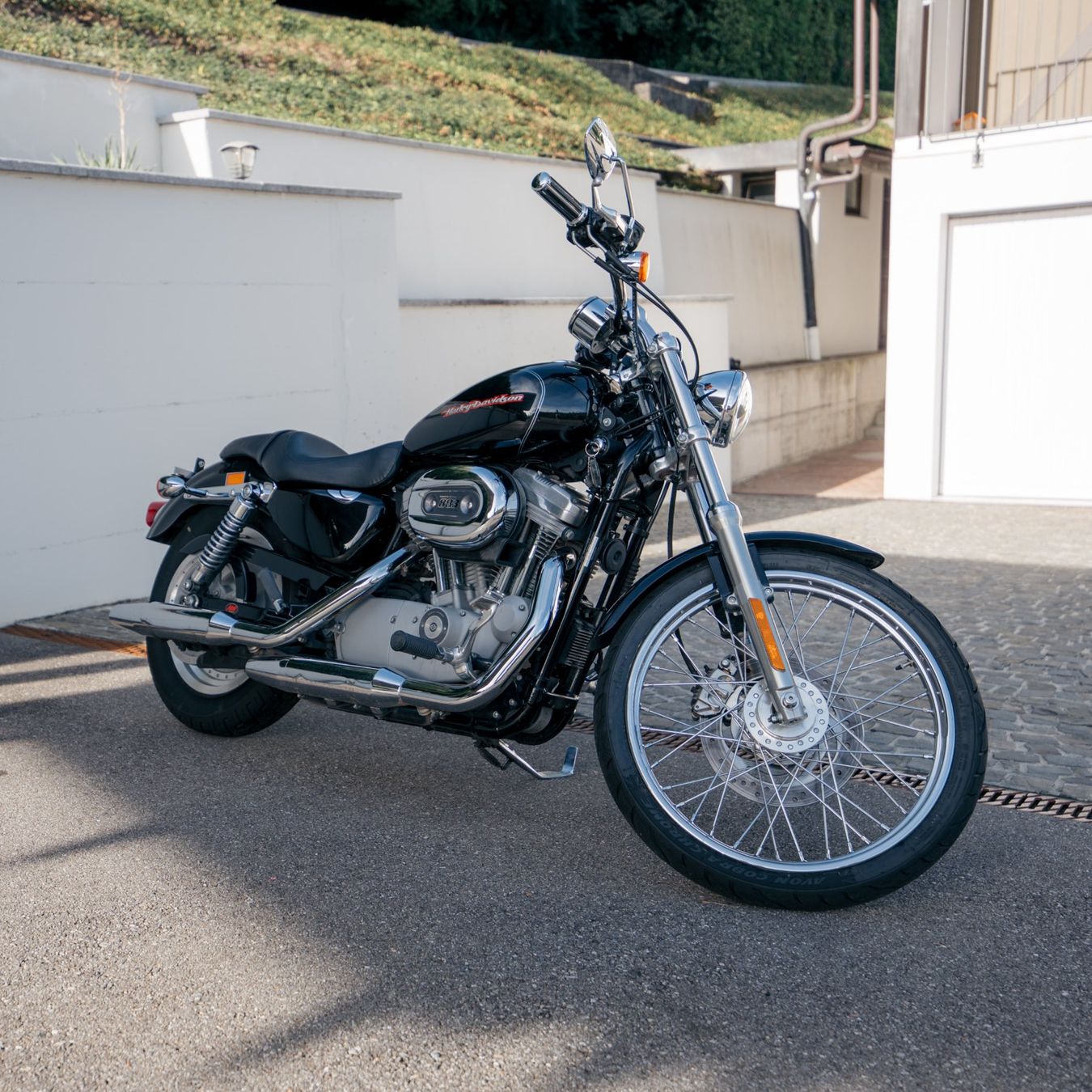 Harley-Davidson Chopper: Harley Davidson XL883 Custom – Gebraucht aus Herrenschwanden von Odin77 2