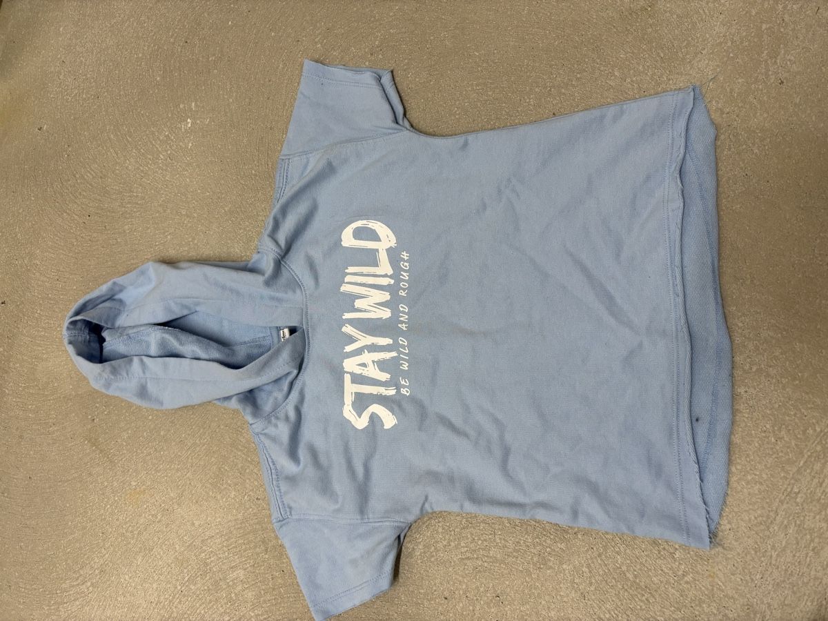 Chemises, T-shirts & Polos: Tshirt – D'occasion à Itingen par jessi811