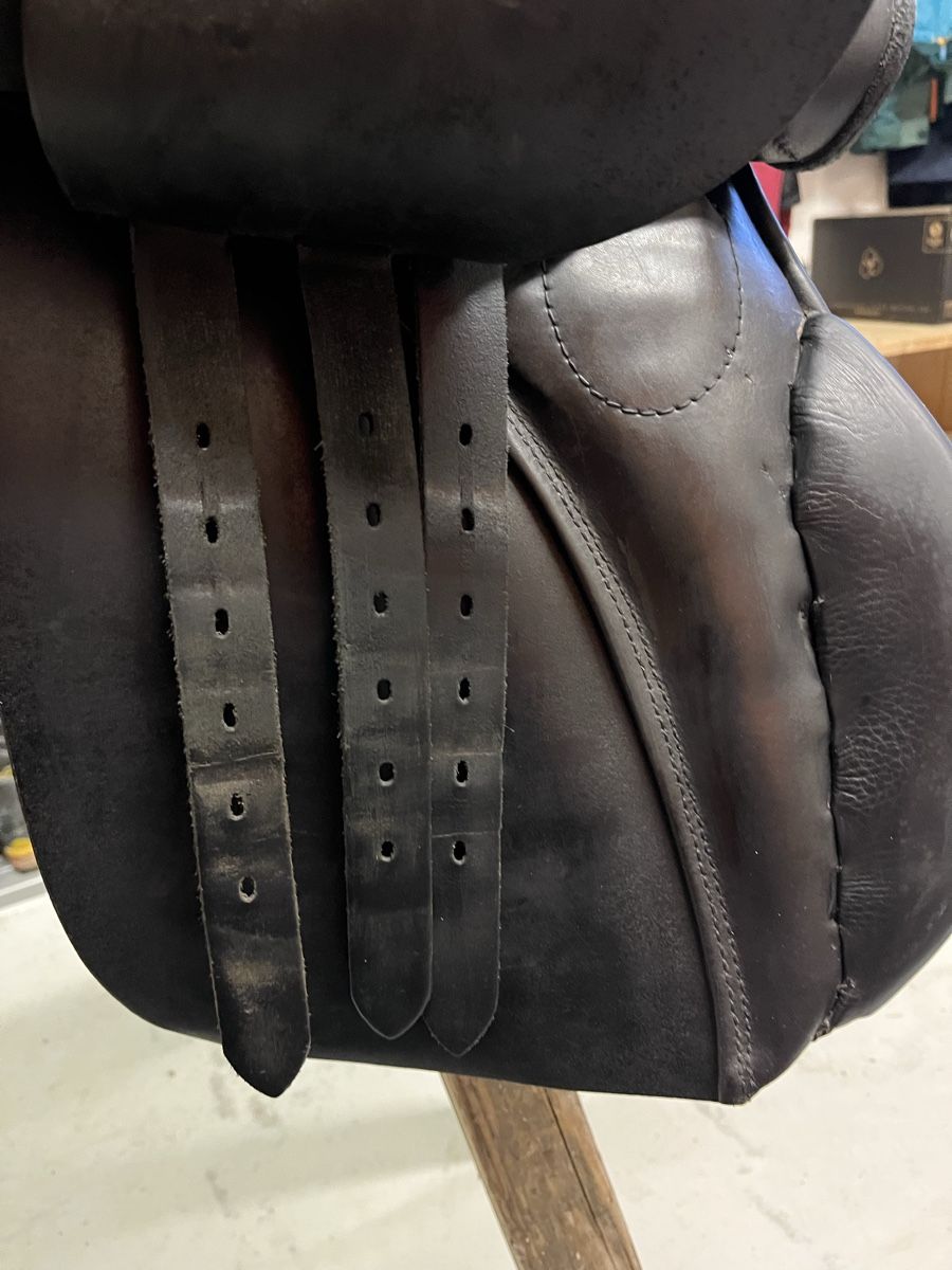 Selle & Accessori: Stübben Sattel Scandica 31 – Usato da Lauperswil venduto da alila04 7