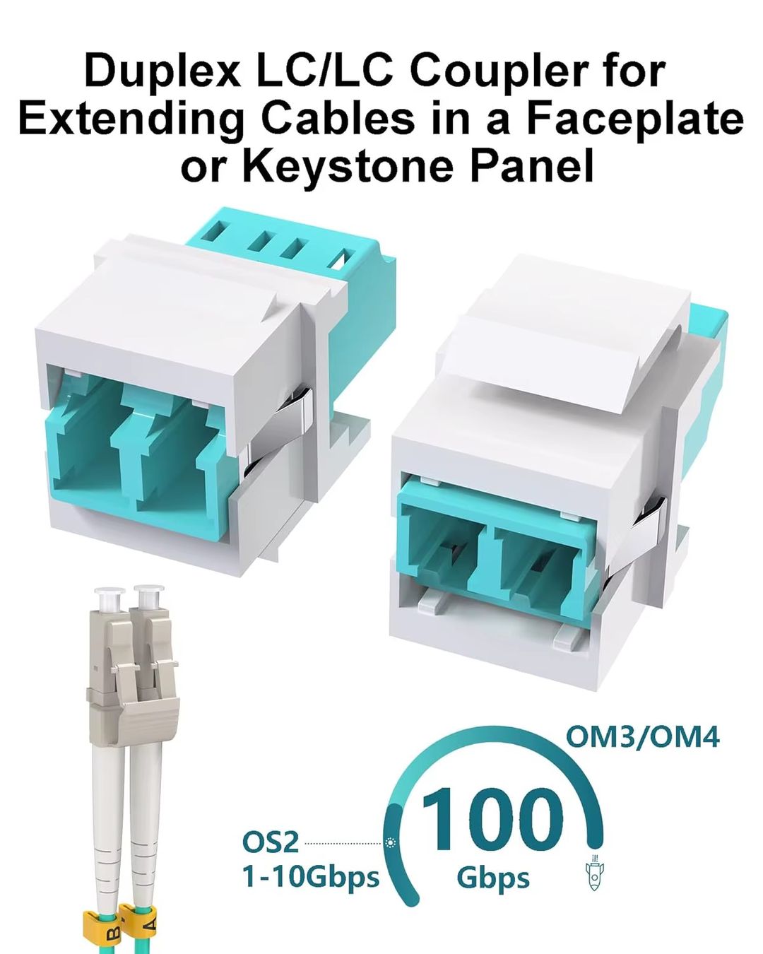 Unità & Adattatore: 10x LC Keystone Duplex | LC-LC OM3/OM4 Multimode Fiber – Usato da Herznach venduto da 14bodhi
