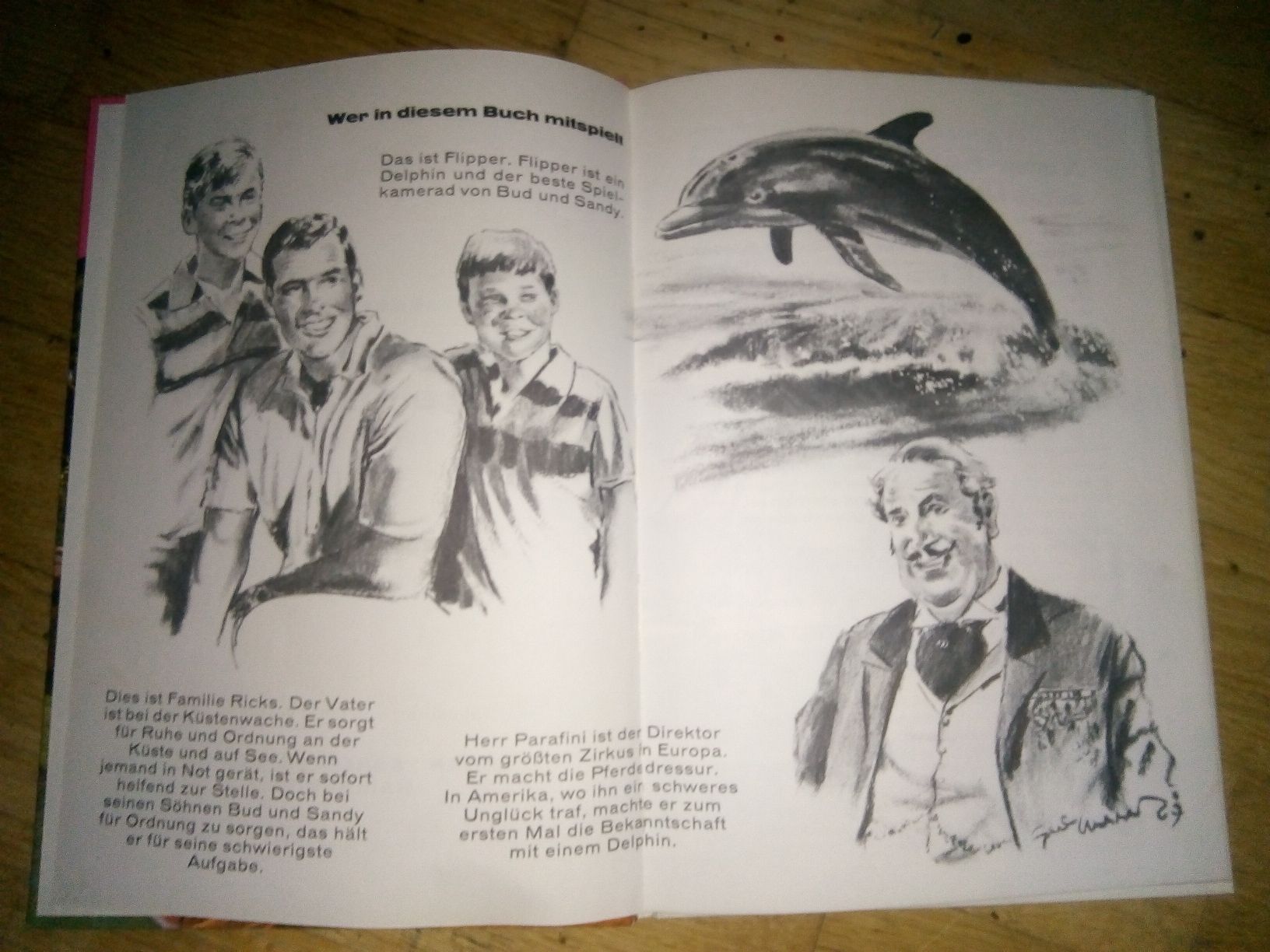 Libri: Flipper (1) Wird Parafini gerettet? (Jesse Fox) 1967 – Usato da St.Gallen venduto da elk2022 2