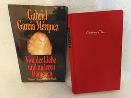 Buch Gabriel Garcia Marquez: Von Liebe und anderen Dämonen