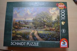 Puzzle 1000