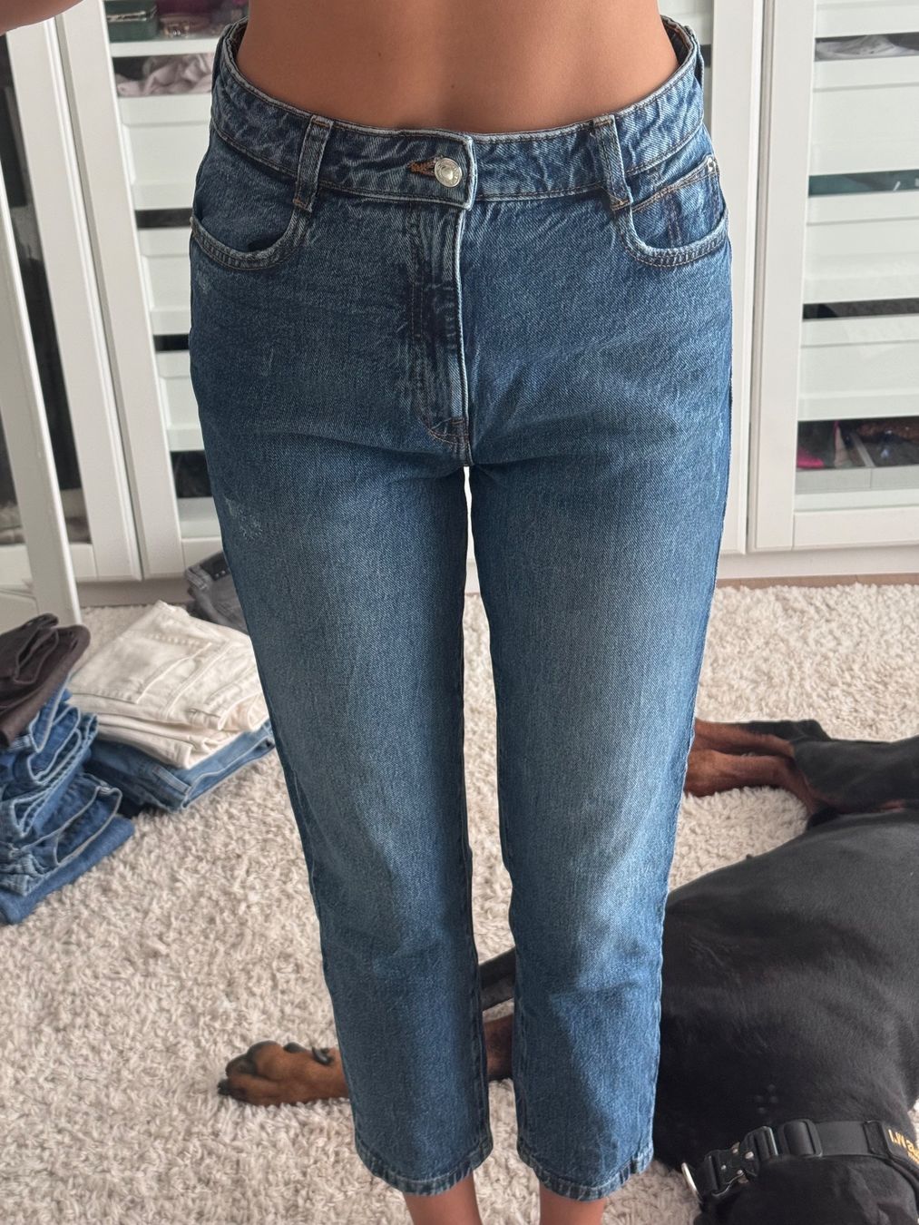 Zara Jeans: Zara Jeans Gr 38 – Nuovo (secondo la descrizione) da Niederglatt ZH venduto da mvgie
