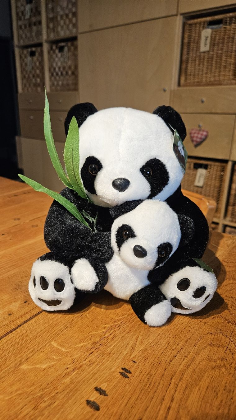 Jouets: Panda Plüschtier / Peluche – Neuf (Voir description) à Dintikon par Zaza_Lolo 1